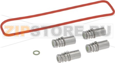 MAINTENANCE KIT FOR BOILER BIANCHI 