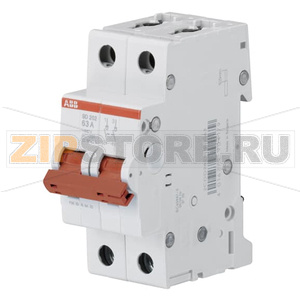 Рубильник двухполюсный 25 A, SD202/25 ABB 2CDD282101R0025 