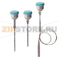 POINTEK CLS300 - STANDARD — КАБЕЛЬНОЕ ИСПОЛНЕНИЕ С РЕЗЬБОВЫМ ИЛИ ФЛАНЦЕВЫМ ПОДКЛЮЧЕНИЕМ К ТЕХНОЛОГИЧЕСКОМУ ПРОЦЕССУ: ЕМКОСТНОЙ СИГНАЛИЗАТОР  УРОВНЯ С ИНВЕРСНЫМ ИЗМЕНЕНИЕМ ЧАСТОТЫ ПРИ ИЗМЕНЕНИИ ЕМКОСТИ, С ОПЦИОНАЛЬНЫМ СТЕРЖНЕМ/КАБЕЛЕМ И КОНФИГУРИРУЕМЫМ ВЫХ