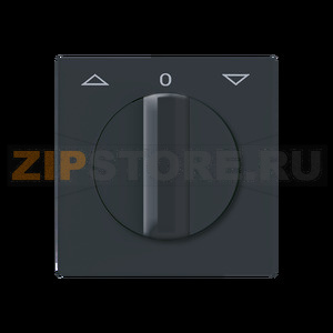 Накладка с поворотной ручкой, антрацитовая ABB 2CKA001710A1886 