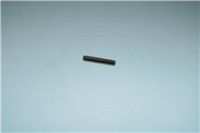 SPINA FORCELLA ESPERTO