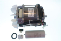 C.MOTOR CA-301 230/50/1
