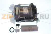C.MOTOR CA-301 230/50/1