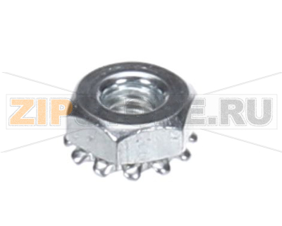 NUT, KEPS 8-32 F 