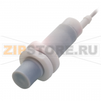 Датчик уровня наполнения емкостной, контактирующий со средой Balluff BCS0073