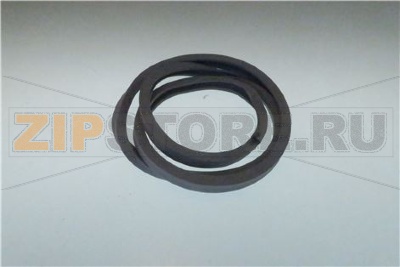 GUARNIZI0NEVETR0 WFP 501 631 