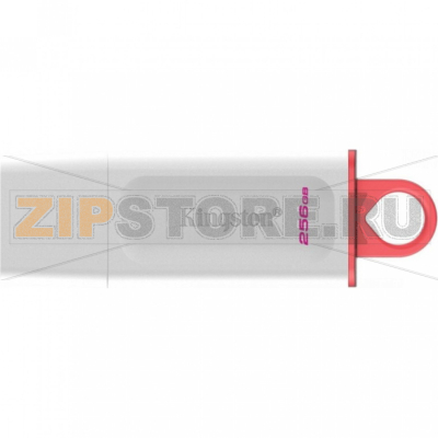 Накопитель USB 256 Гб Kingston KC-U2G256-5R 