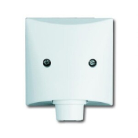 Плата центральная с суппортом и компенсатором натяжения, IP44, белая ABB 2CKA001710A1845