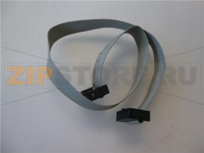 CAVO FLAT 10 POLI 270 mm 