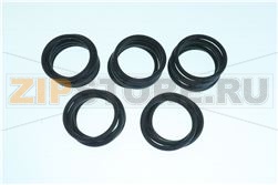 SET OR IC541000158 25 PZ 