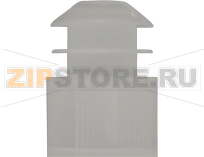 BLIND PLUG FOR BOILER OUTLET PIPE 