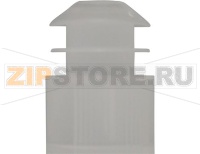 BLIND PLUG FOR BOILER OUTLET PIPE