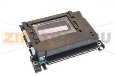 SCHEDA ELETTRONICA 