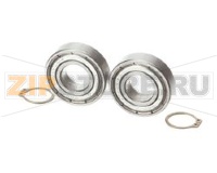 BEARING KIT (PACK OF 2)