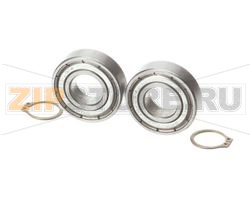 BEARING KIT (PACK OF 2) 