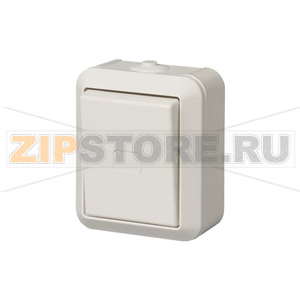 Кнопка одноклавишная 10 А, 250 В, IP44, белая ABB 2TKA000238G1 