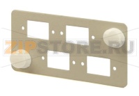 Hyperline FO-FP-4SC Модуль 4xSC, Simplex type, 67х35mm