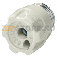 NEOZED ВИНТОВАЯ КРЫШКА ФАРФОРОВАЯ ПЛОМБИРУЕМАЯ РАЗМЕР D02 63А Siemens 5SH4362