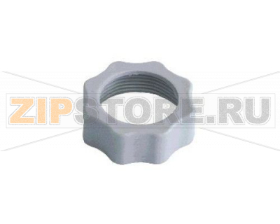 Drain pipe nut 1&quot;1/2 F45-55 Comenda GFS 90 Drain pipe nut 1"1/2 F45-55 Comenda GFS 90Запчасть на деталировке под номером: 180102Название запчасти на английском языке: Drain pipe nut 1"1/2 F45-55 Comenda GFS 90