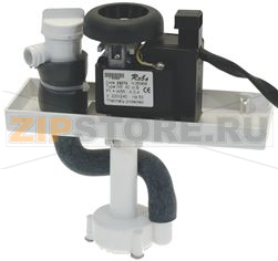 ASSIEME POMPA 230V 50Hz 55W 