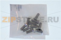 ВИНТЫ С ПОТАЙНОЙ ГОЛОВКОЙ Torx M6x16 - 10шт RATIONAL 1006.1962P