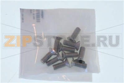 ВИНТЫ С ПОТАЙНОЙ ГОЛОВКОЙ Torx M6x16 - 10шт RATIONAL 1006.1962P 