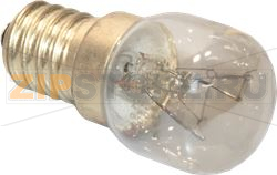 AMPOULE 