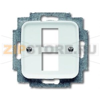 Накладка для двух разъёмов ABB 2CKA001753A3965