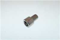 VITE M14X20 C/FORO D.10 INOX