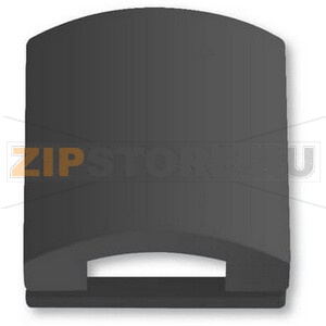 Кольцо с откидной крышкой для накладок 50x50 мм, антрацитовое ABB 2CKA001710A3618 