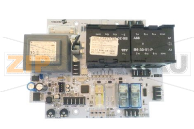 SCHEDA ELETTRONICA 2012 