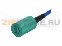 Индуктивный датчик Inductive sensor NJ10-22-N Pepperl+Fuchs