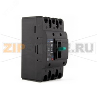 Выключатель автоматический 50 А, 25 кА ESQ 14.02.01.000006