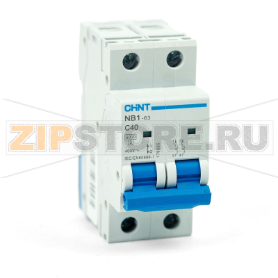 Выключатель автоматический 40 А, 6 кА, 2 полюса Chint NB1-63 