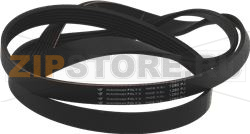BELT HUTCHINSON 1280 J6 