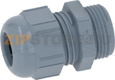 CABLE GLAND PG13.5 