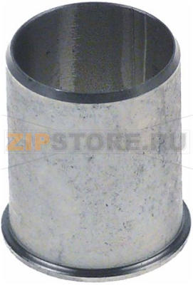 Support bushing steam generator pump P2 
