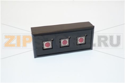 PULSANTIERA PUCCINI SMT 3T/3L V 