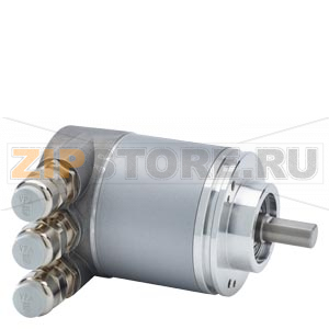 АБСОЛЮТНЫЙ ДАТЧИК 13 БИТ С ШИНОЙ PROFIBUS DP С СИНХРОНИЗАЦИЕЙ ТАКТА, РАБОЧЕЕ НАПРЯЖЕНИЕ10-30В ЗАЖИМНОЙ ФЛАНЕЦ С КОЛПАКОМ И ВЫВОДОМ PG РАДИАЛЬН. Siemens 6FX2001-5QP12 