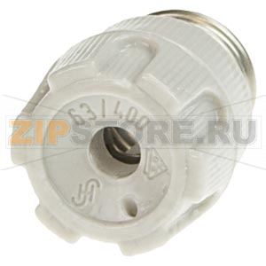 NEOZED ВИНТОВАЯ КРЫШКА ФАРФОРОВАЯ ПЛОМБИРУЕМАЯ РАЗМЕР D02 63А С ГЛАЗКОМ Siemens 5SH4363 
