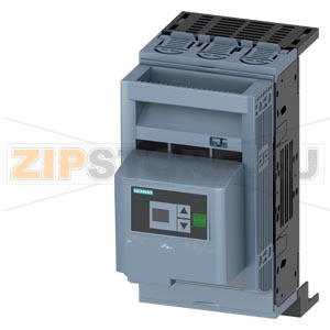 ПРЕДОХРАНИТЕЛЬНЫЙ РАЗЪЕДИНИТЕЛЬ 3-ПОЛЮСА, NH00, 160A 60MM ШИННАЯ СИСТЕМА COVERS ДЛЯ RITTAL РАМОЧНЫЙ ЗАЖИМ ПРЕДОХРАНИТЕЛЬНЫЙ МОНИТОР ЭЛЕКТРОННЫЙ, EFM 20 Siemens 3NP1133-1JC23 