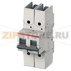 Выключатель автоматический двухполюсный, S802S-D63-R ABB 2CCS862002R0631 