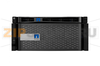 Система хранения данных NetApp SG6060 