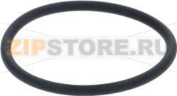 OR GASKET 4200 