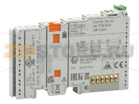 2 аналоговых ввода; Pt100 / RTD; светло-серые Wago 750-461