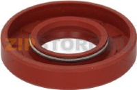 SEALING RING FKM 52x25x10 mm GP