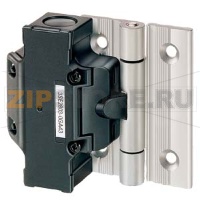 SIRIUS HINGED SWITCH MOLDED-ПЛАСТИКОВЫЙ-SEALED C ALU. HINGE 3XНЗ,SLOW-ACTION, ДЛЯ 40MM PROFILE SUPPLIED  C EXTRA HINGE И FIXING MATERIAL, CABLE ENTRY 2XM20X1.5, ACTUATING ANGLE 8 DEG Siemens 3SE2283-6GA53