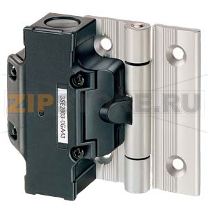 SIRIUS HINGED SWITCH MOLDED-ПЛАСТИКОВЫЙ-SEALED C ALU. HINGE 3XНЗ,SLOW-ACTION, ДЛЯ 40MM PROFILE SUPPLIED  C EXTRA HINGE И FIXING MATERIAL, CABLE ENTRY 2XM20X1.5, ACTUATING ANGLE 8 DEG Siemens 3SE2283-6GA53 