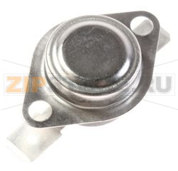 TERMOSTATO SICUREZZA 90° BOSCH 00617459 