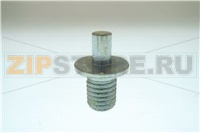 PERNO CERNIERA SUP.PORTA LEGNO